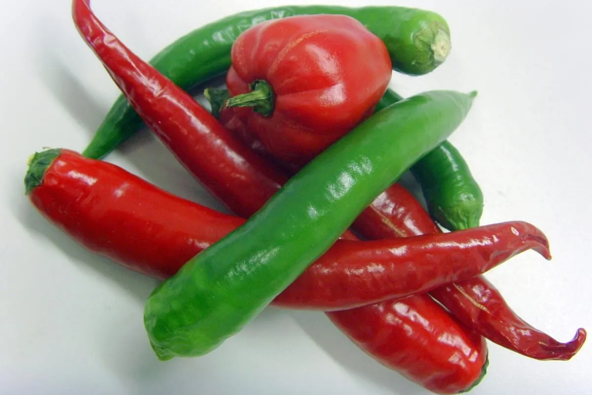 Paprika ist nicht gleich Paprika