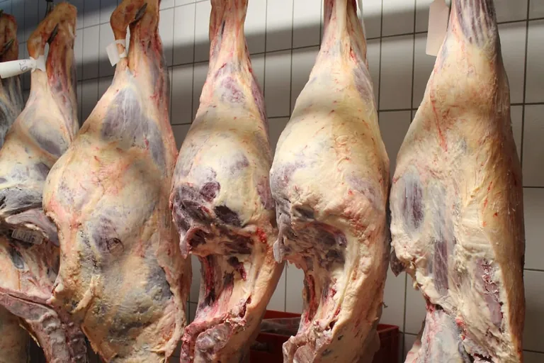 BGN: Studie zu Corona-F&auml;llen in der Fleischwirtschaft