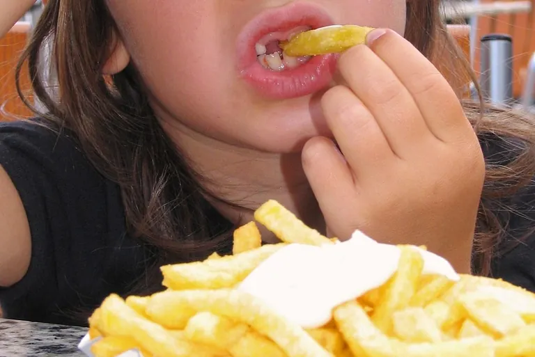 DGE-Qualit&auml;tsstandards f&uuml;r eine bessere Kita- und Schulverpflegung