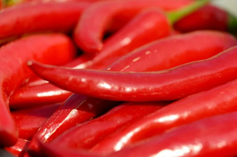 Feurige Schärfe für die Küche