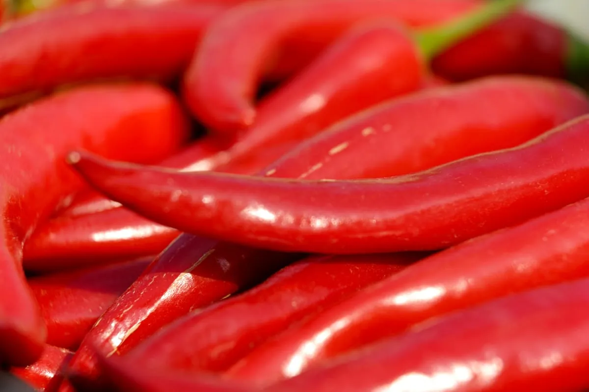 Feurige Schärfe für die Küche