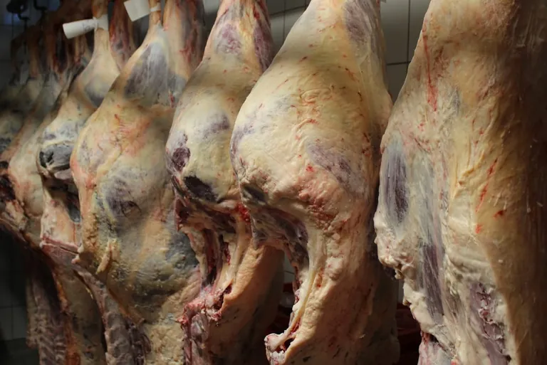 Agribusiness 2020: Robuste Branche