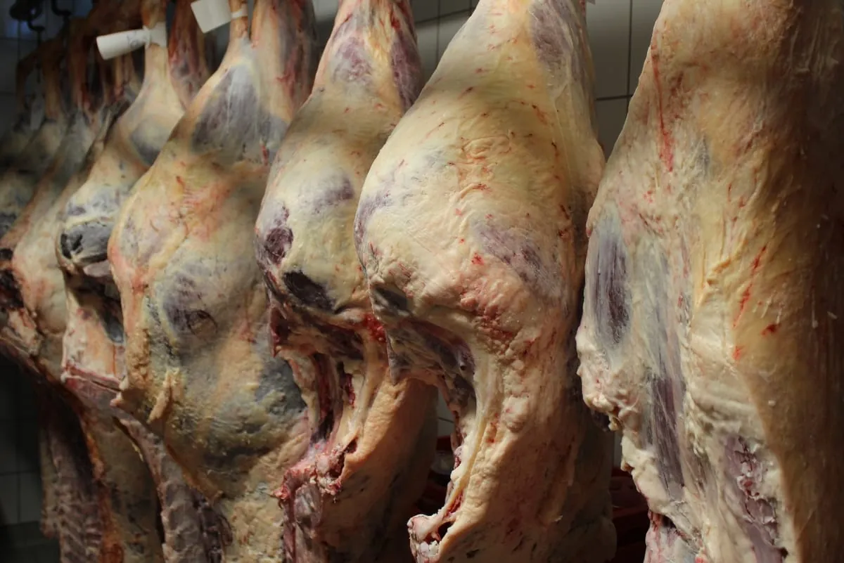 Agribusiness 2020: Robuste Branche