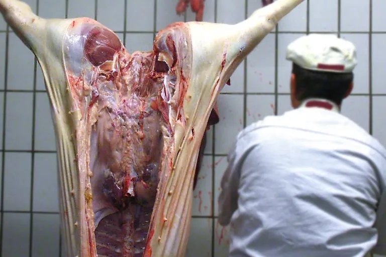 Erzeugerpreise landwirtschaftlicher Produkte im November 2020