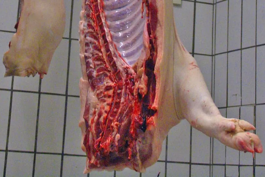 Erzeugerpreise landwirtschaftlicher Produkte im Dezember 2020