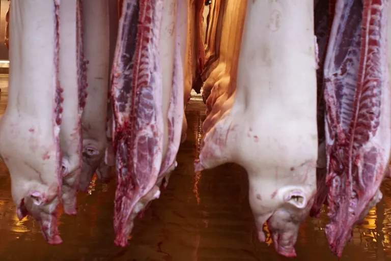 Erzeugerpreise im M&auml;rz 2021