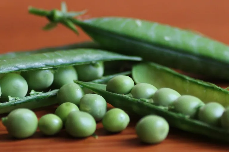 Produktion von Fleischersatz um ein Drittel gestiegen