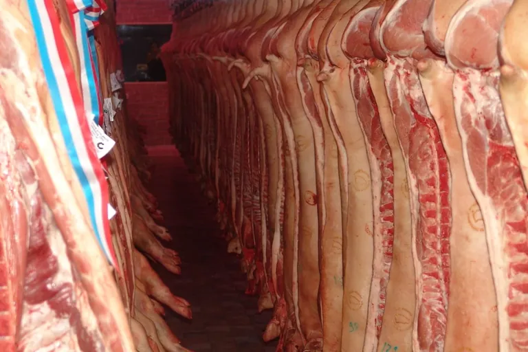 Preisrückgang bei Schlachtschweinen schwächt sich ab