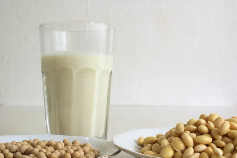 Pflanzendrinks unter der Lupe