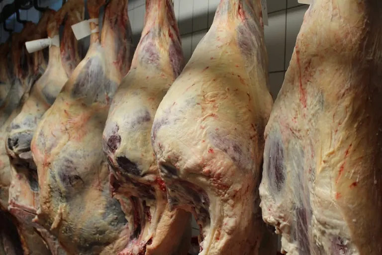 Fleischproduktion im 1. Halbjahr 2021 um 1,7 % gegen&uuml;ber Vorjahr gesunken