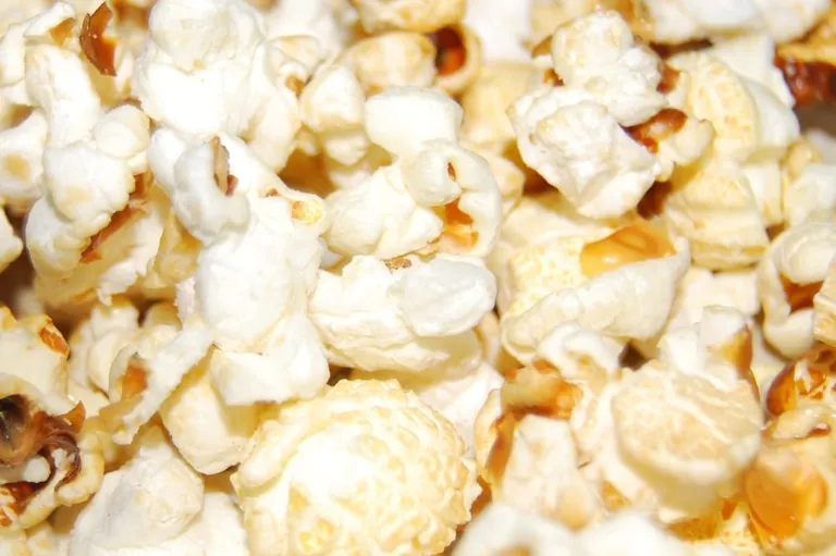 Nachhaltige Alternative: Verpackungen aus Popcorn