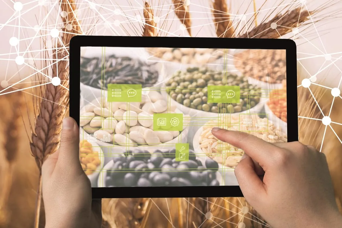 Forschungsinitiative: Resilienz in der Lebensmittelversorgung im Fokus