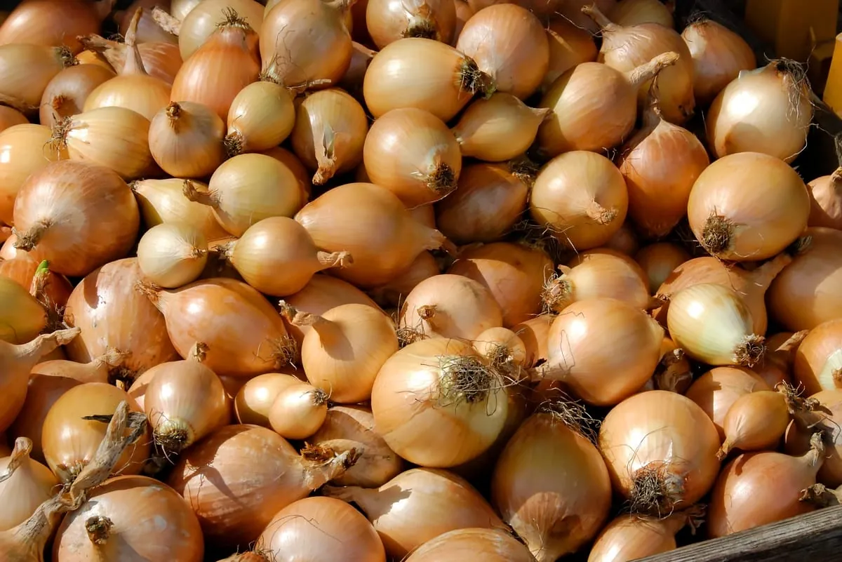 Zwiebelsuppe wärmt an kalten Tagen