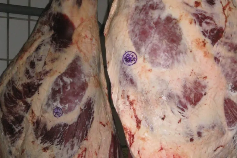 Erzeugerpreise im Oktober 2021