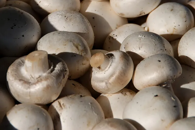 Lebensmittel mit Vitamin D