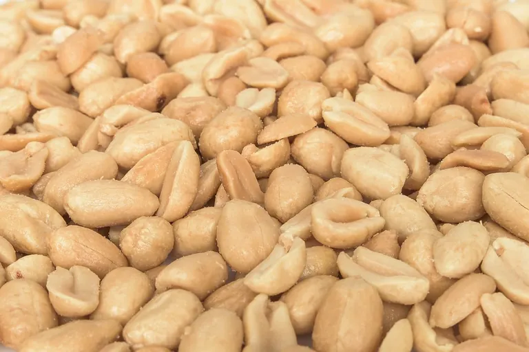 Erdn&uuml;sse, Mandeln und Haseln&uuml;sse am beliebtesten