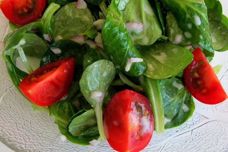 Wintersalate: Vitamine f&uuml;r die kalte Jahreszeit