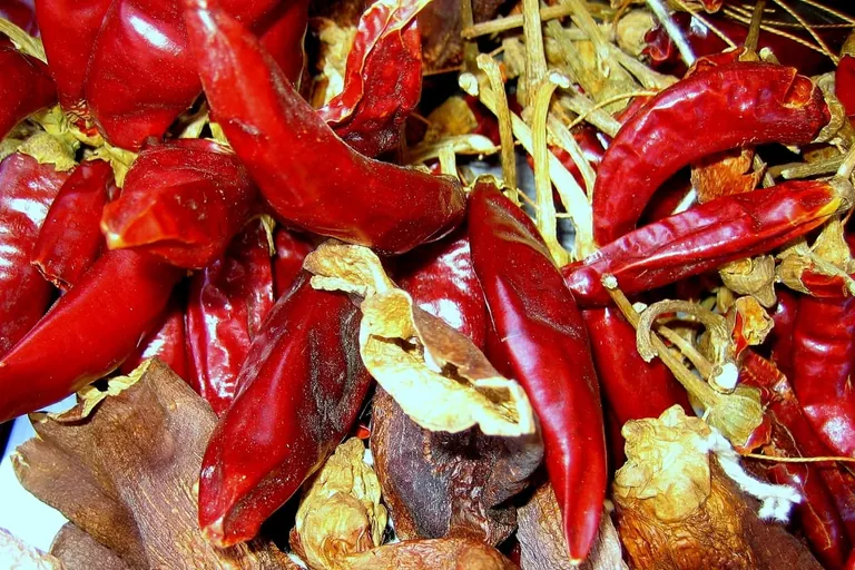 Currypasten: Von feurig-scharf bis aromatisch-mild