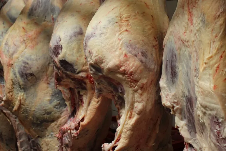 Steigende Preise f&uuml;r tierische Erzeugnisse