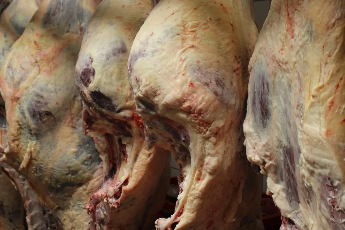 Steigende Preise für tierische Erzeugnisse