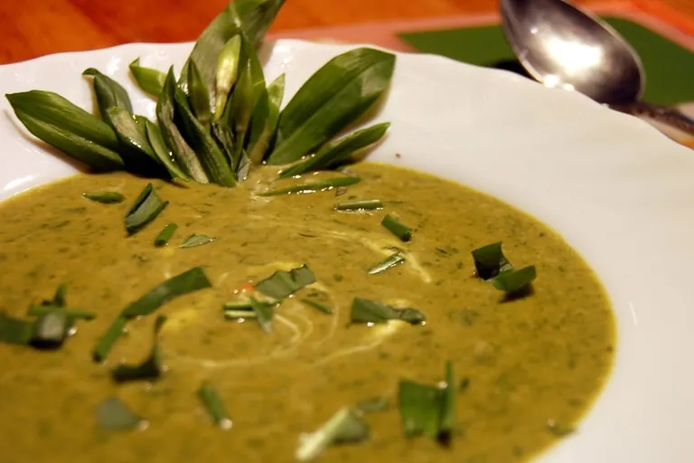 Neun Wildkr&auml;uter f&uuml;r die Suppe