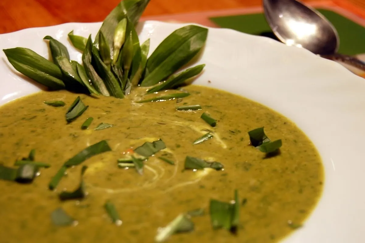 Neun Wildkräuter für die Suppe