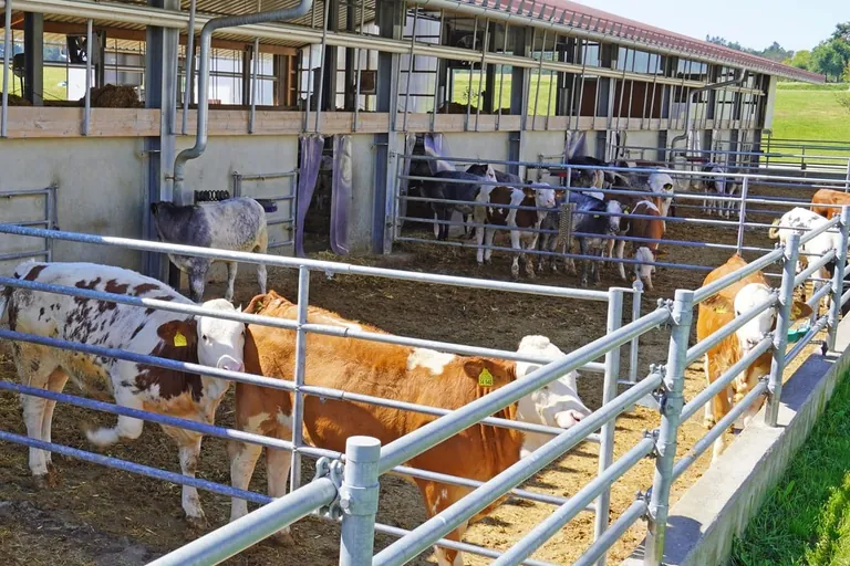 Keine Kompromisse beim Tierwohl