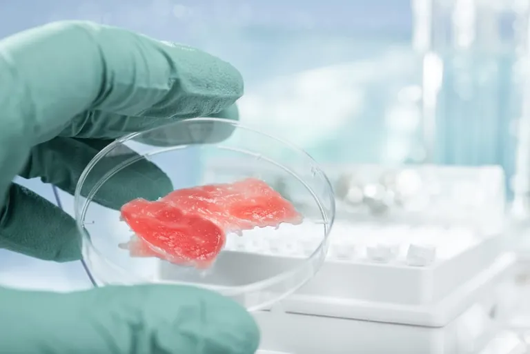 Fleisch und Fisch aus dem Labor