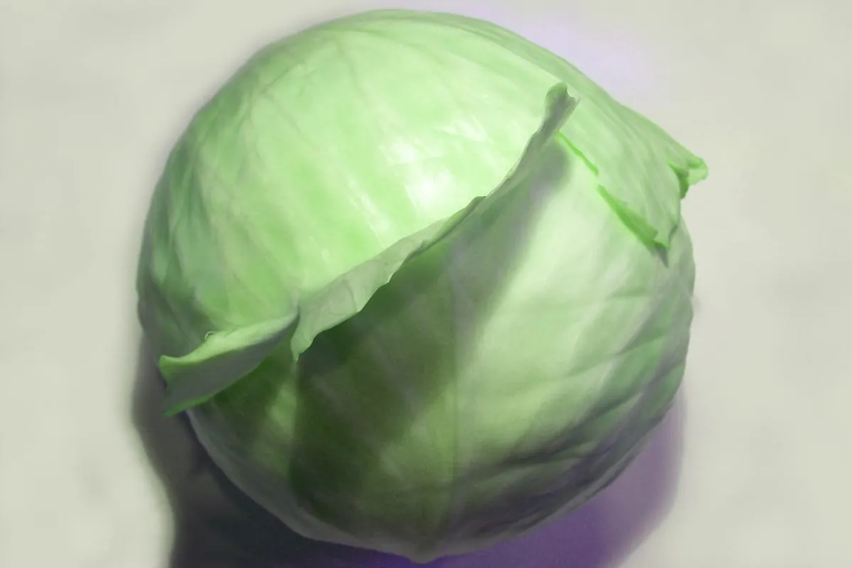 Krautsalat im Geschmackstest