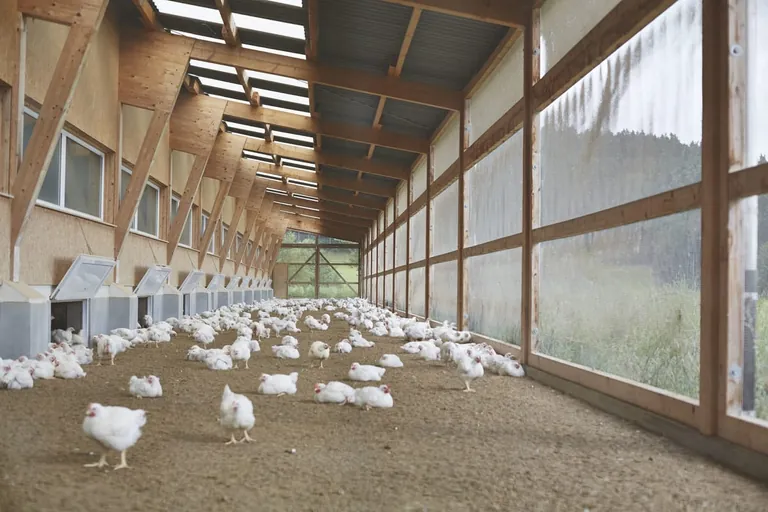 Entscheidung für mehr Tierwohl