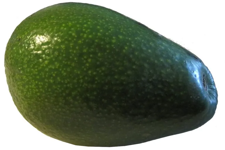 Avocados haben positive Eigenschaften