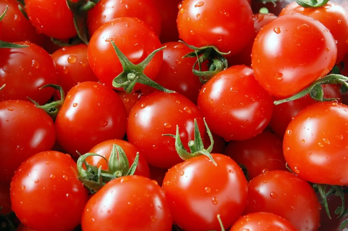 Soßen aus eigener Herstellung