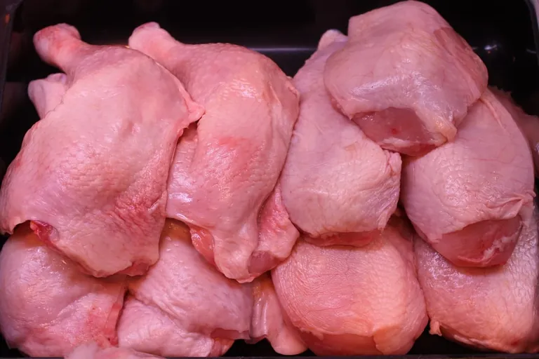 Algen und Insekten im Tierfutter