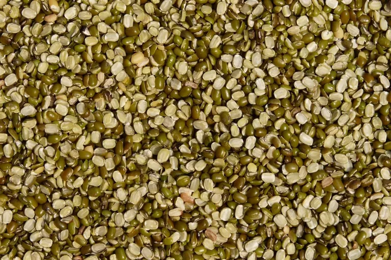 Antibiotikaresistenzen vorbeugen: Vielseitig und ballaststoffreich essen