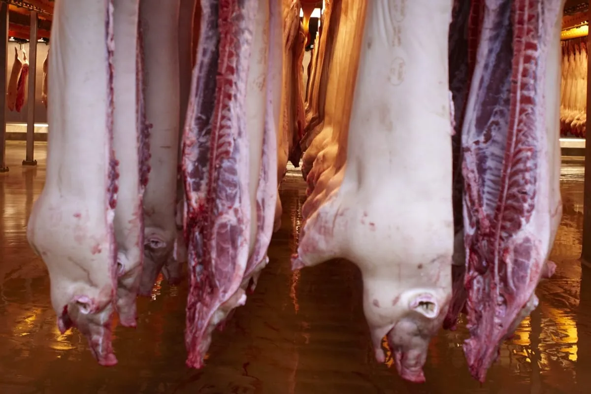 Erzeugerpreise im Mai 2022