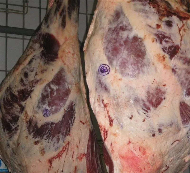 Die richtige Fleischauswahl