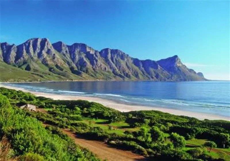 Südafrika in aller Munde