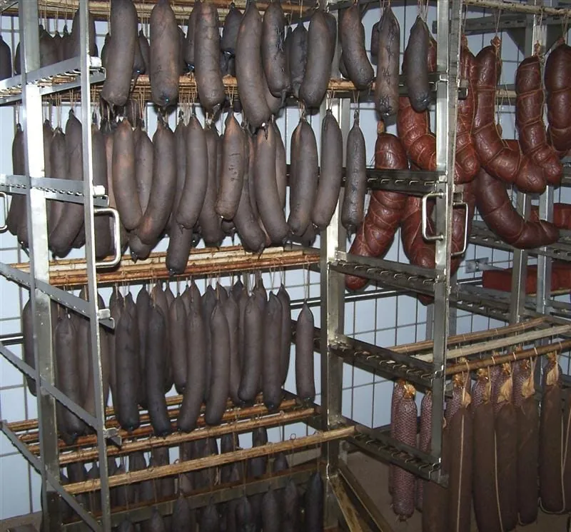 Ernährung bei Nierenkrankheit