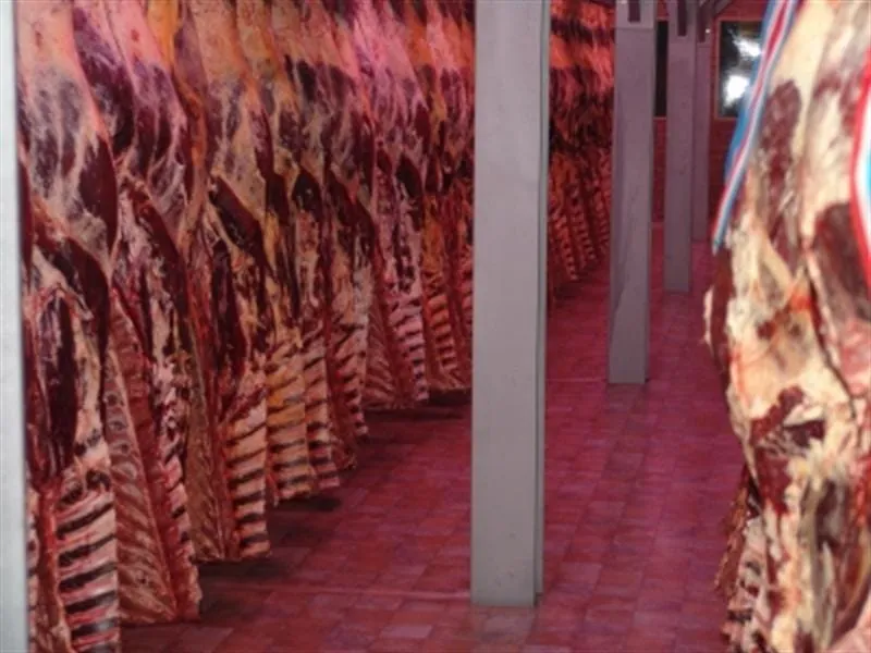 Tiefkühlen von Fleisch