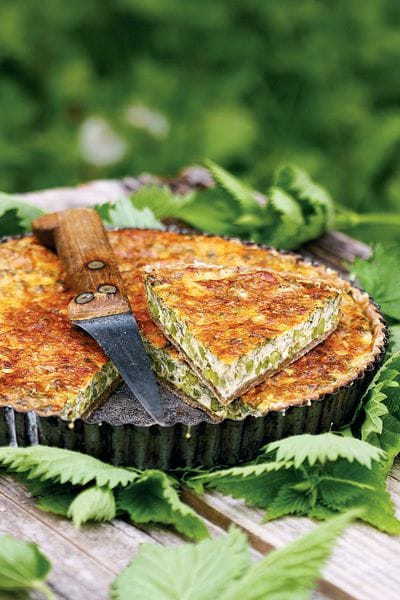 Rezept: Quiche mit Brennnesseln und grünen Erbsen - Die Fleischerei