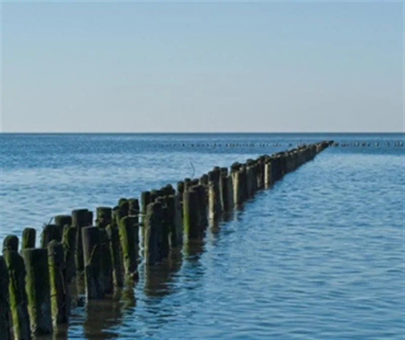 Blick über den Tellerrand