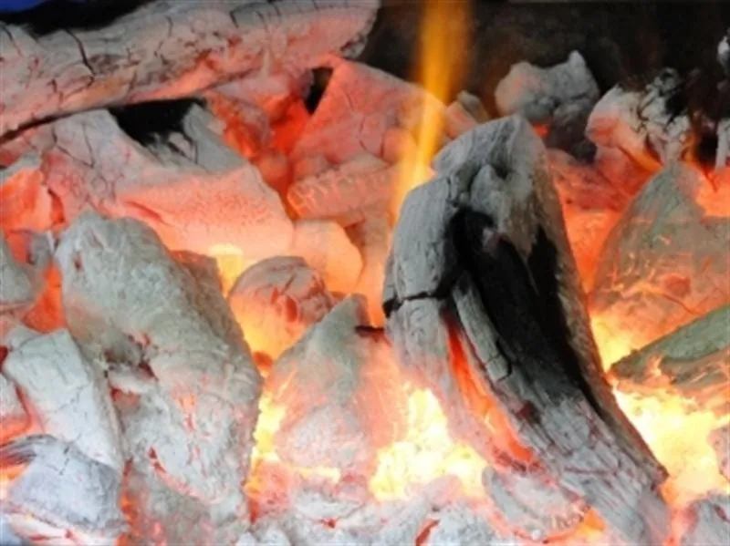 Kundenseminar rund ums Grillen