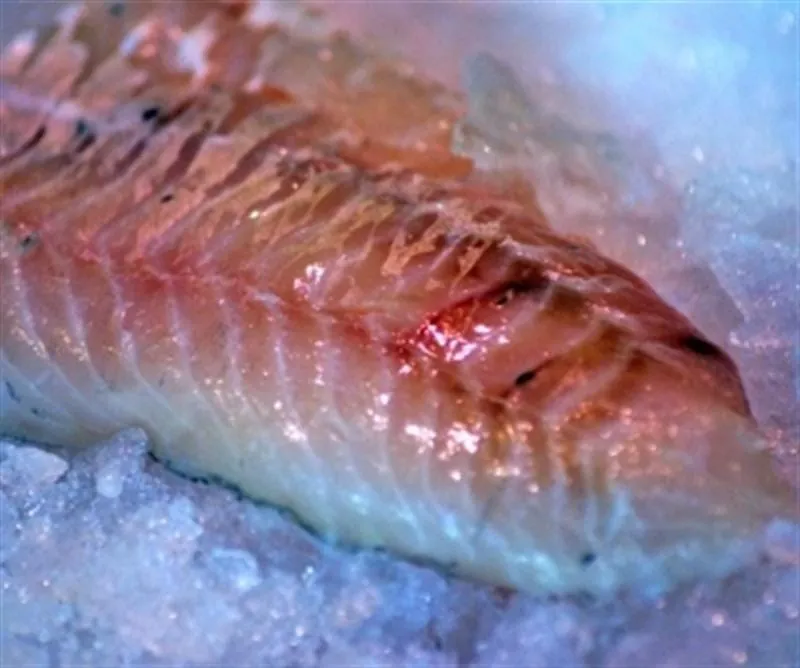 Langsamer altern mit Omega-3-Fettsäuren?