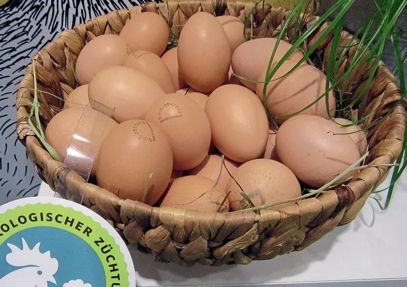 Thekenfrage: Sind Eier gesünder als Fleisch?