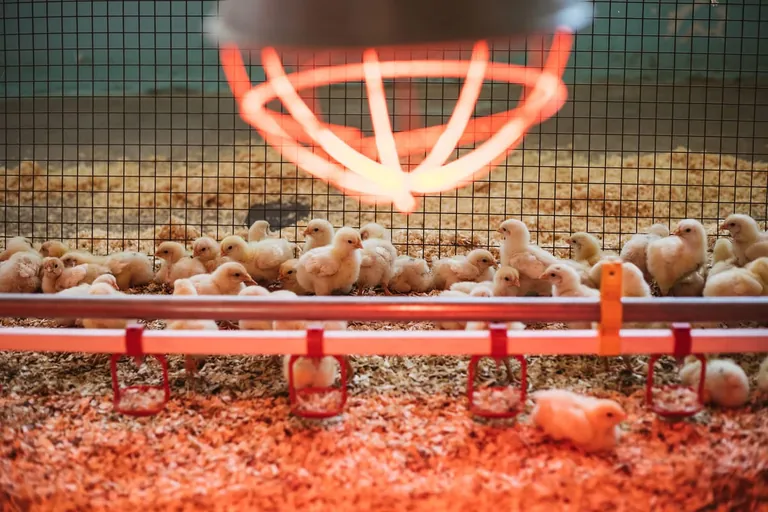 Naturland beschlie&szlig;t Komplettausstieg aus dem K&uuml;kent&ouml;ten