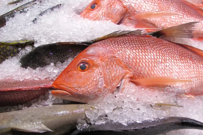 Vegane Ern&auml;hrung: H&ouml;here Ballaststoffaufnahme, aber zu wenig Jod