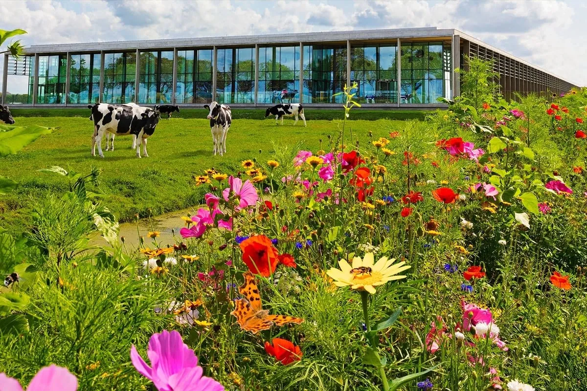 Nachhaltigkeit wichtigster Fokus für Beemster