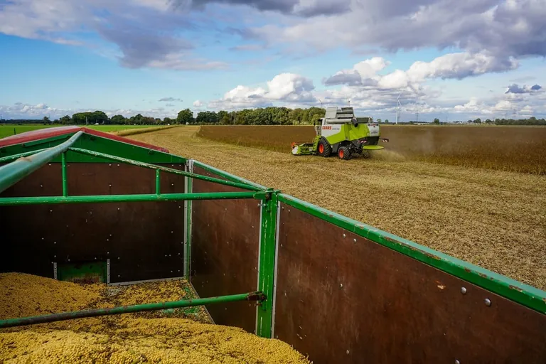 Rügenwalder Mühle erntet erstes eigenes Soja aus Deutschland