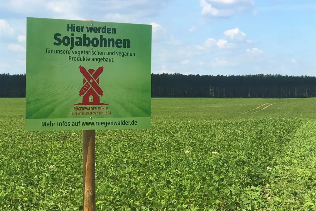 Rügenwalder Mühle verdoppelt Anbaufläche für eigenes Soja