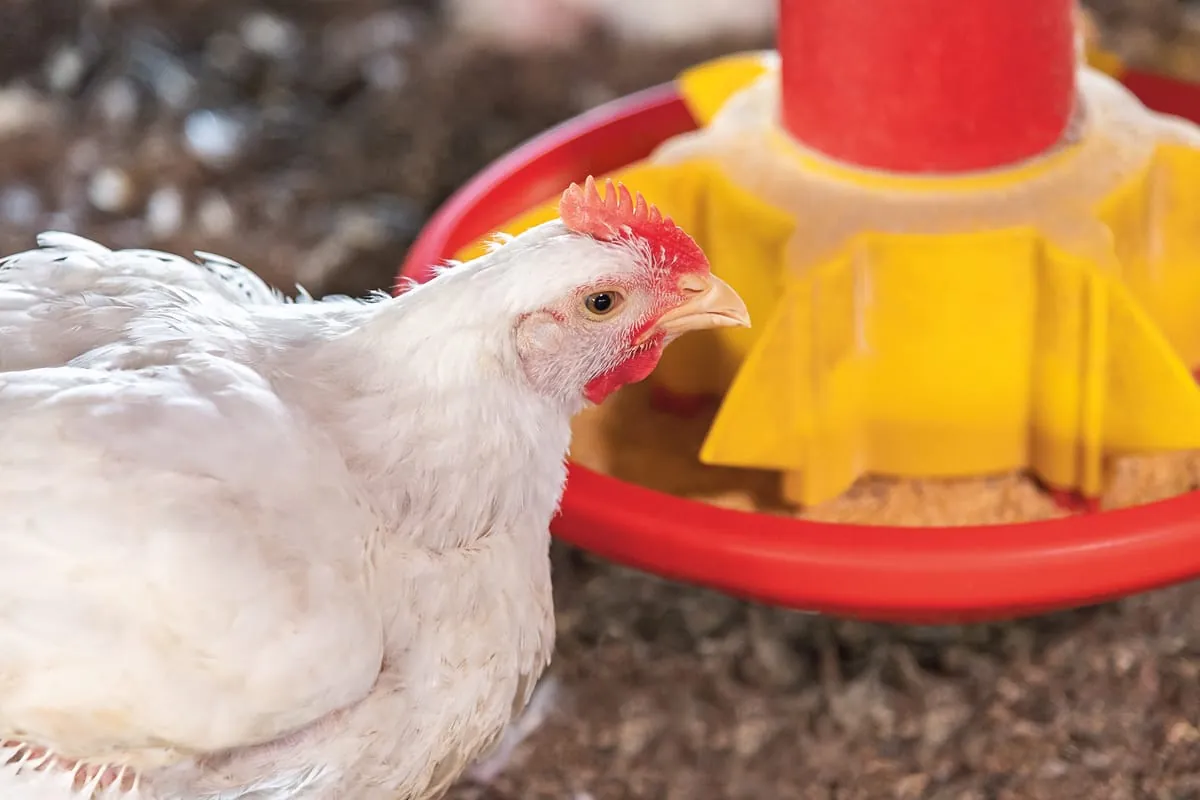 Branchenverband ABPA beruft wissenschaftlichen Ausschuss 1